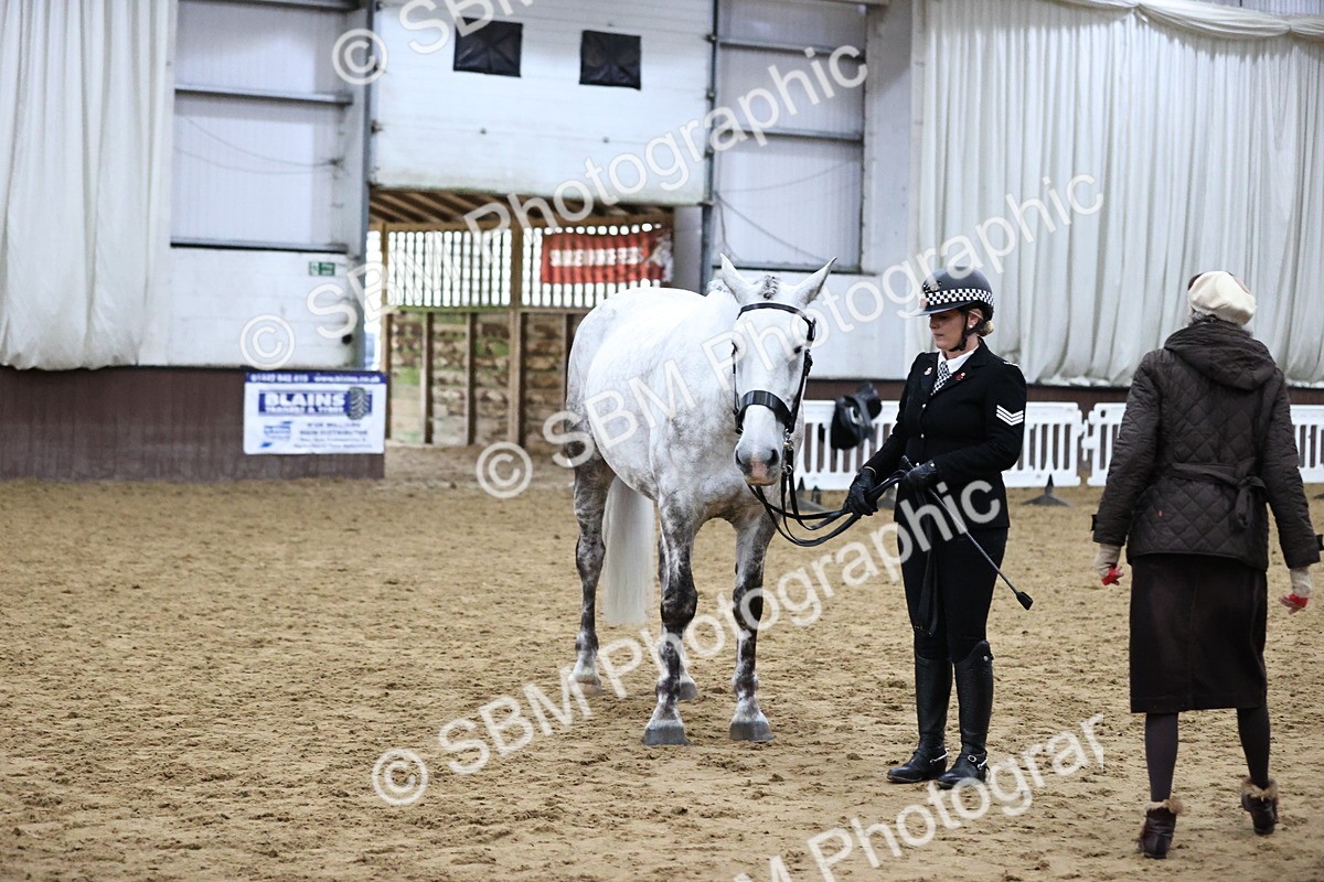 SBM_6309 - Class 17 - IDHSG Challenge Pure Breed