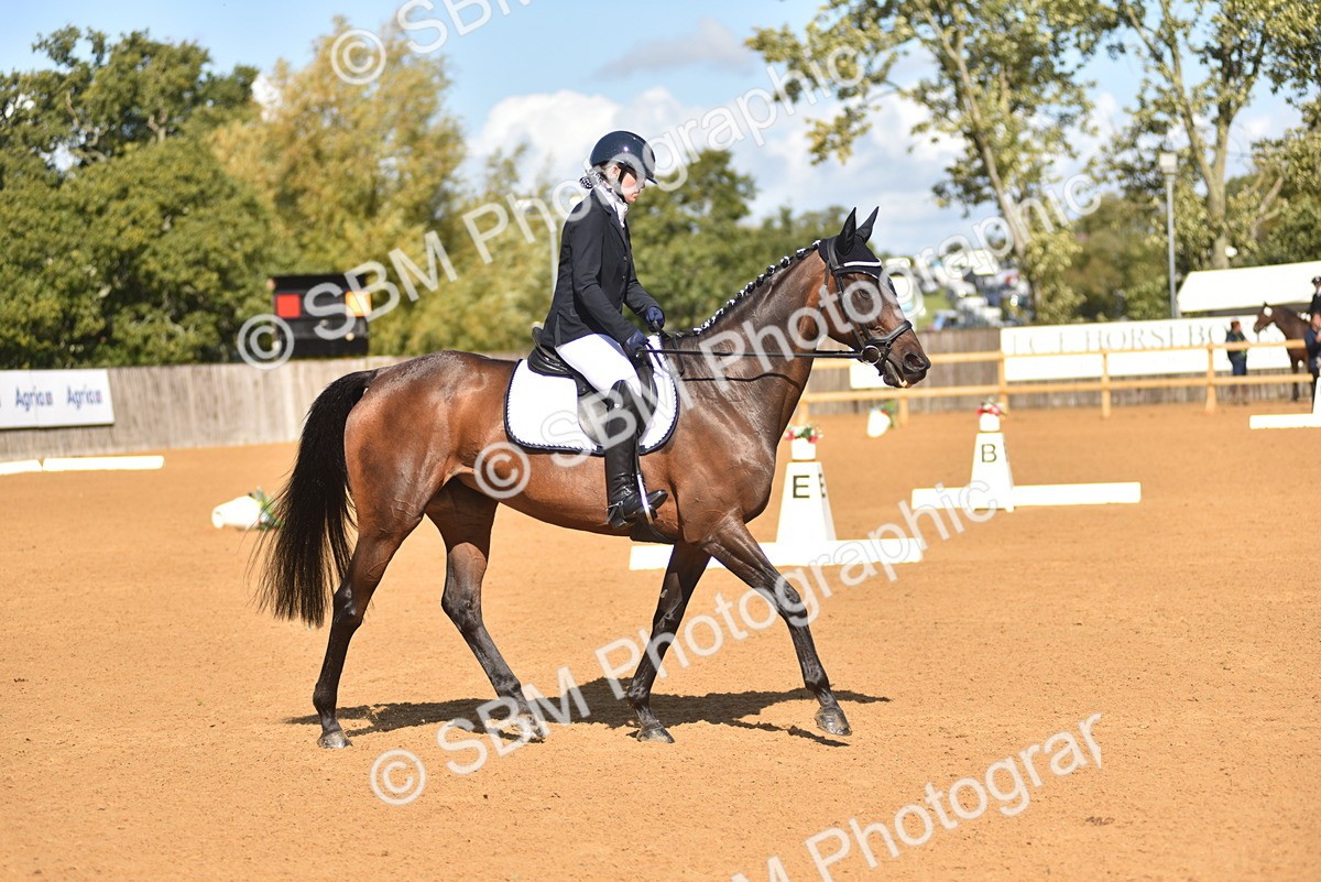 SBM_19954 - D4 - Small Tour Championship Intro 4