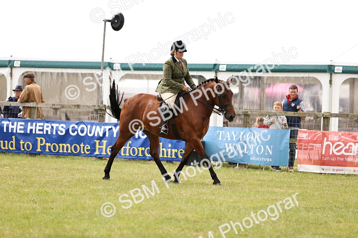 SBM_14594 - Class 88-89 - LIHS BSHA Rising Star of Ridden Hunter Type