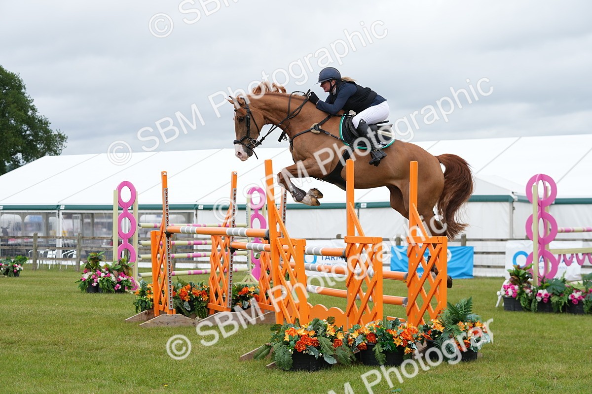 SBM_03292 - Class 201 - British Horse Feeds Speedi Beet Horse of the Year Show Grade  C
