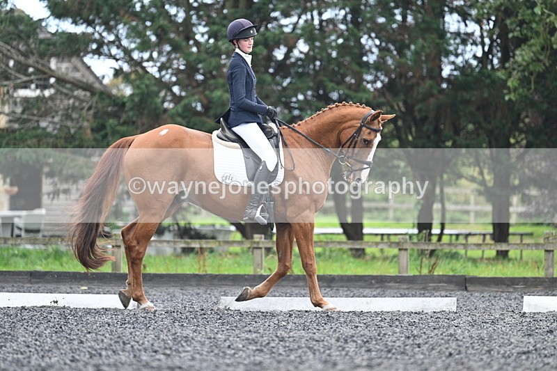 WJ7_6704 - Time 14:49 to 15:14