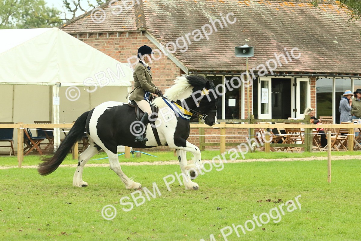 SBM_75160 - Super Supreme Championship