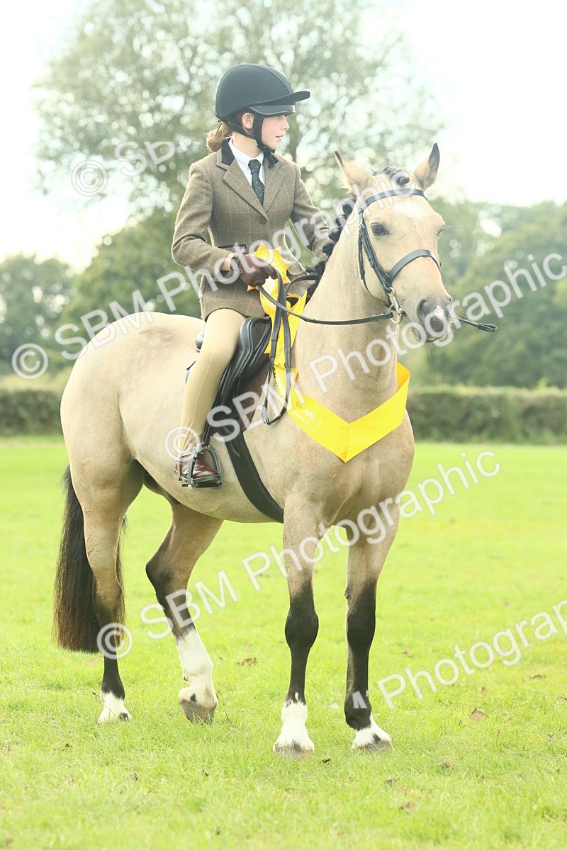 SBM_74123 - S 61 - Show Pony & Show Hunter Pony Ridden