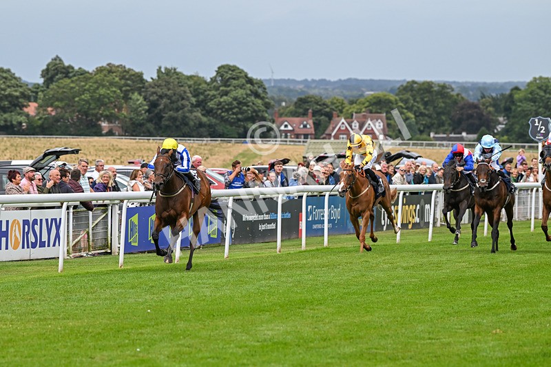 150824-Race 3-Go On Rosie-7845 - Race 3