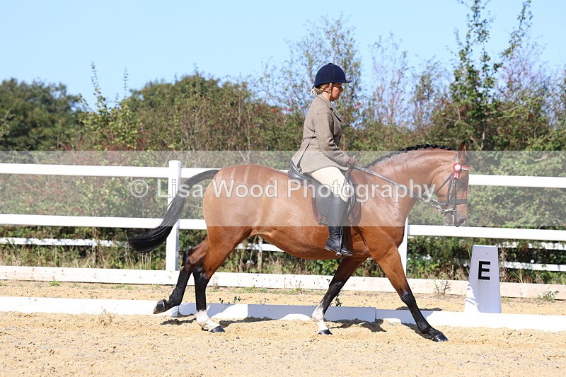 3E7A5721 - Class 10: Riding Horse