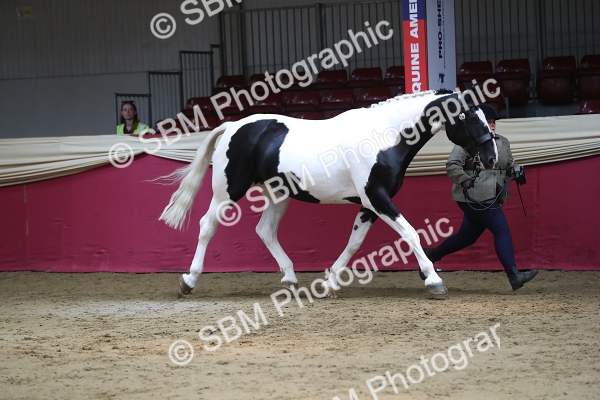 SBM_06246 - Class 9R Regional- IH Pre Vet