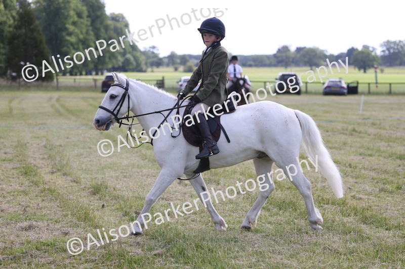 20260614-0664 - Class 20 - Beginners Working Hunter Pony