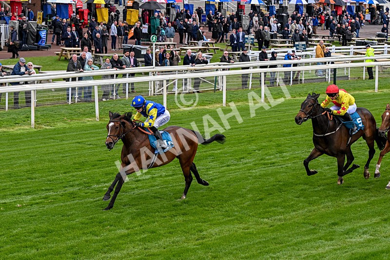 130526-Race 6-Startled-0374 - Race 6 4.40pm Conundrum HR Consulting Handicap