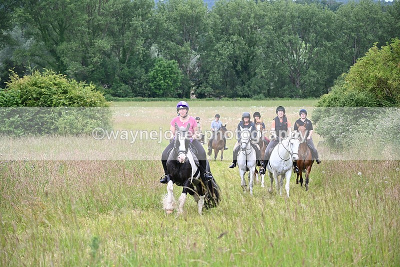 WJ6_8391 - Camera 1 Gallops