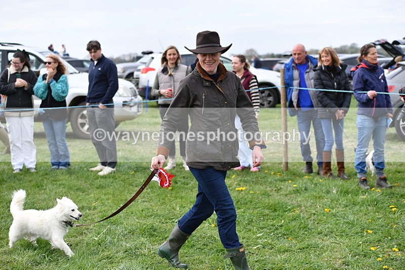 WJ5_9419 - Class 1 Best Cross Breed / Heniz 57