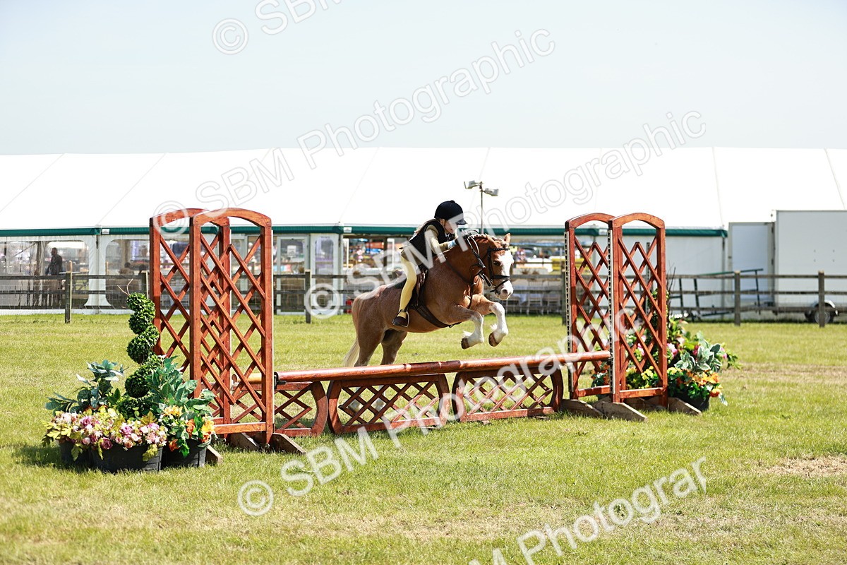 SBM_13592 - Class 108-109 - BSPS LIHS Open Gradle & Nursery Stakes