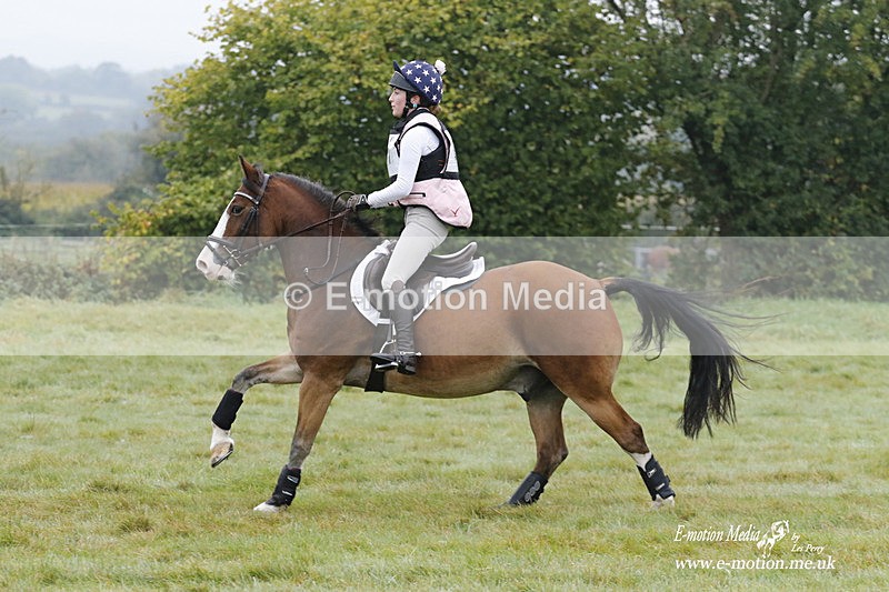 WWHT 171021 0505 - Novice Restricted (0.80m)  17/10/21