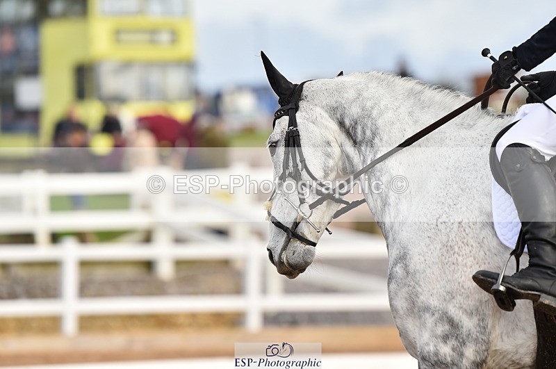 231104A-113148-01560 - Cls 5 Novice 37A