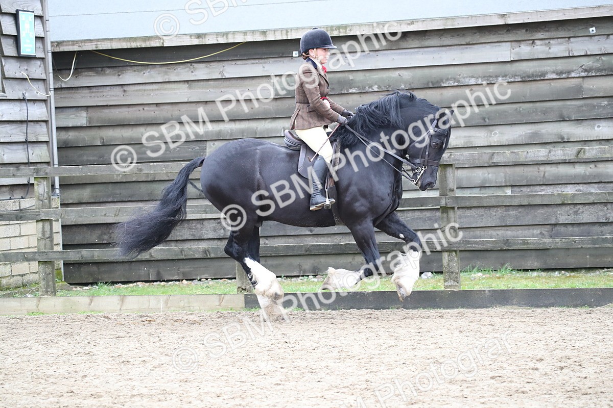 SBM_007072 - Class 10-13 - RIHS Small Large Breeds