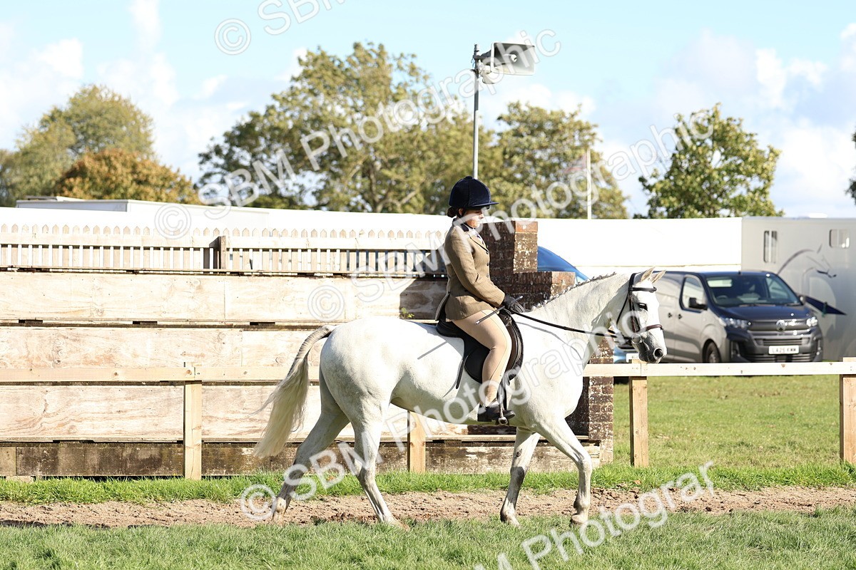 SBM_52360 - S13 - Pony Club Pony