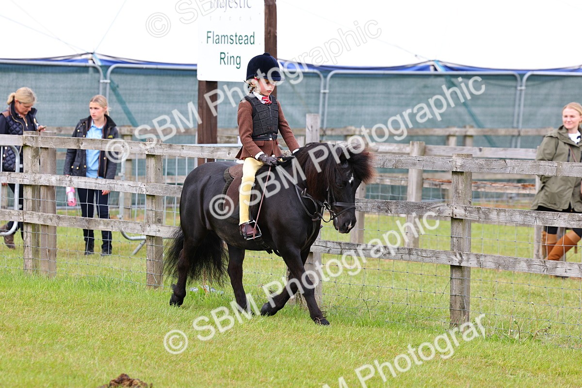 SBM_08488 - Class 42-43 - LIHS BSPS Heritage Working Sports Pony