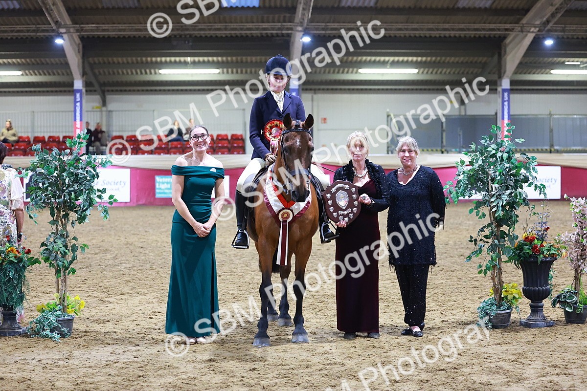 SBM_15003 - Class M - Equitation Champ