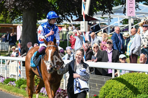 160525-Race 2-Thunder Run-6305 - Race 2 2.42pm Knights Solicitors Handicap