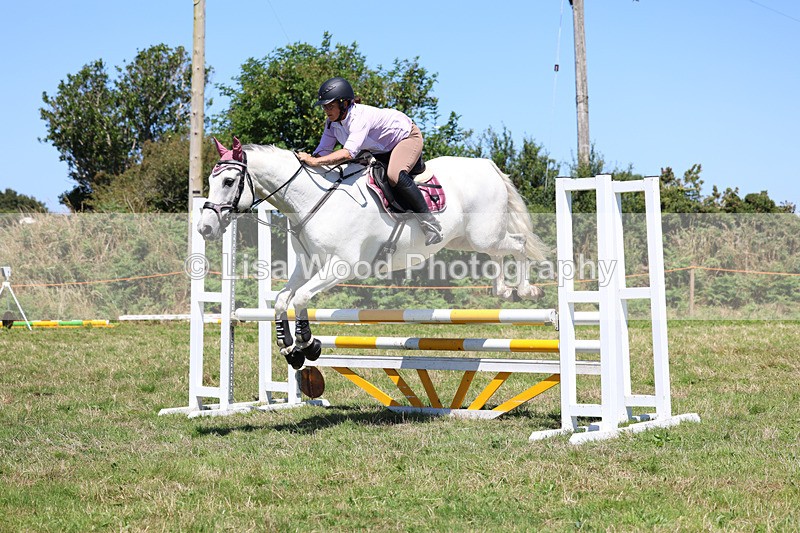 3E7A5655 - Class 9: Senior British Novice/90cm open