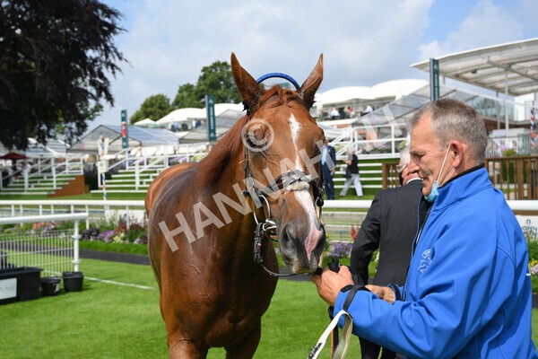 yr10072021r3-40 - Race 3: 2.55pm John Smith's Stayers Stakes
