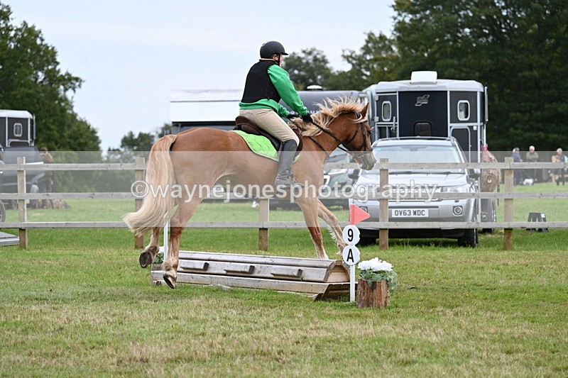 WJ7_7852 - 40cm Time 10:49 to 11:18