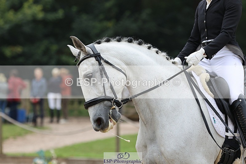 240810-113140-02900 - 140-Ali.Dane-Lidador