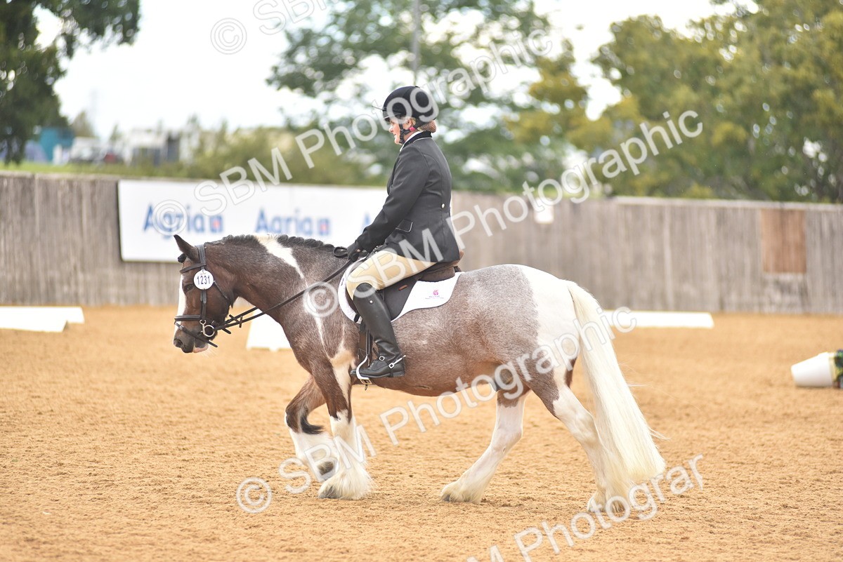 SBM_11283 - D15 - Small Tour Championship Novice 1