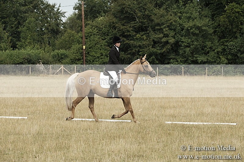 _PJP5732 - Dressage Classes BVRC Show 2018