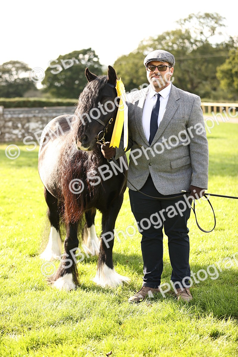 SBM_26294 - S5 - Novice & Newcomers In Hand