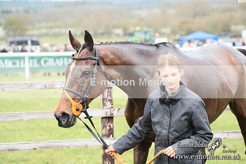 PtP 130425 189 - Edgecote Races 13/04/25
