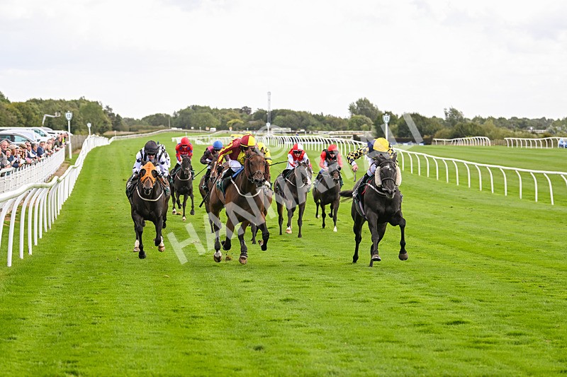 100924-Race 2-Keldeo-0012 - Race 2