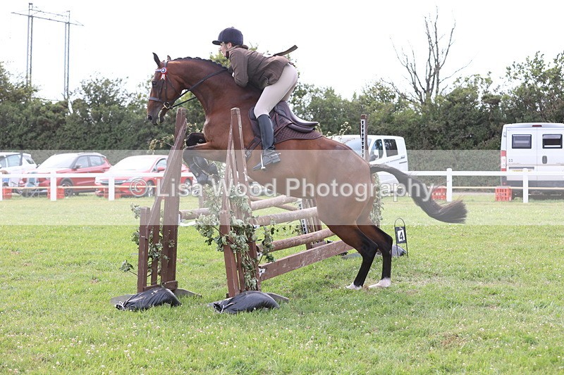 JPP_4178 - Class 25: Working Show Horse
