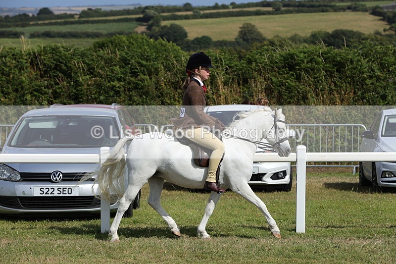 1X9A5654 - Class 40: NPS Welsh A & B
