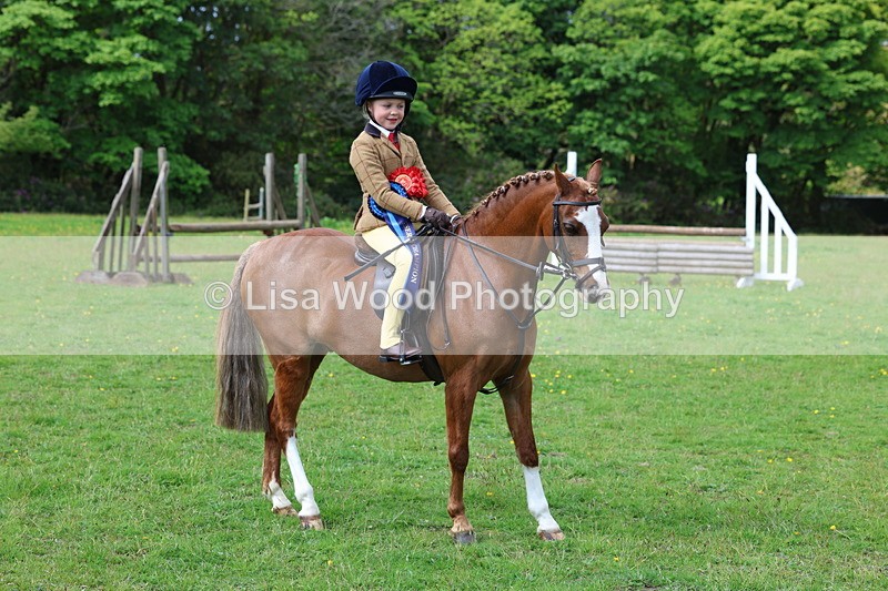 3E7A2769 - Working Hunter Championship