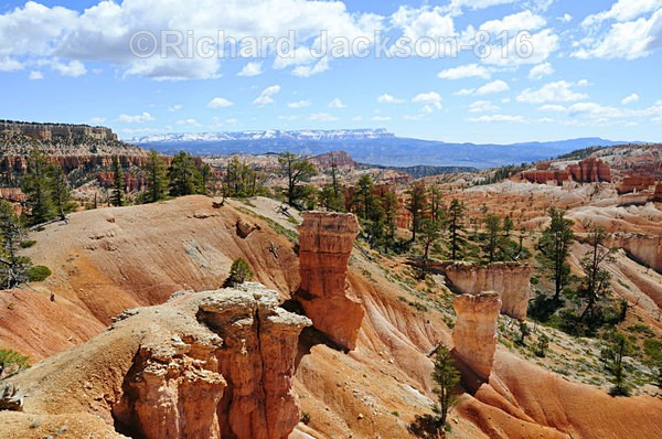 Image #13 - Bryce Canyon National Pk.- 2011
