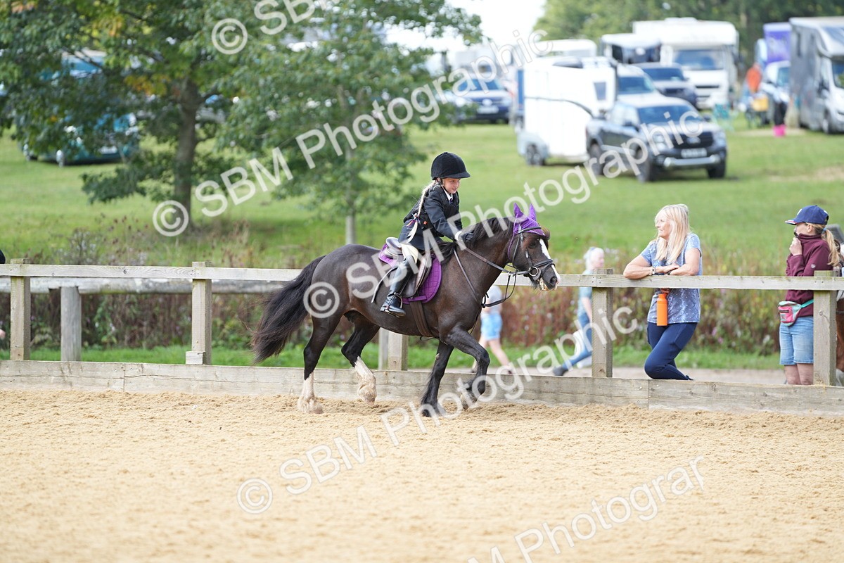 SBM_64485 - J2 - Mini Tour Junior Pony 30cm Championship