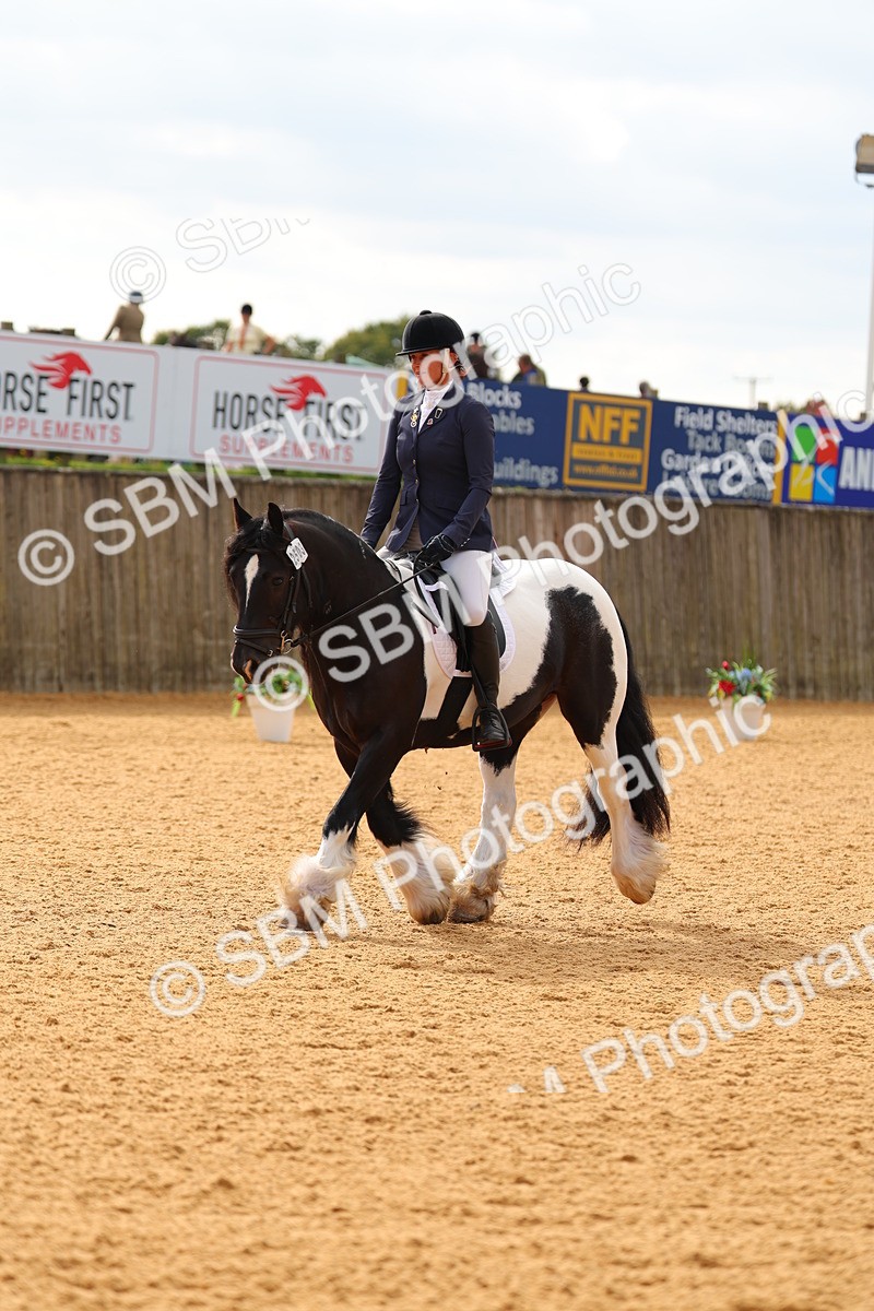 SBM_47405 - D6 - Small Tour Championship - Intro C