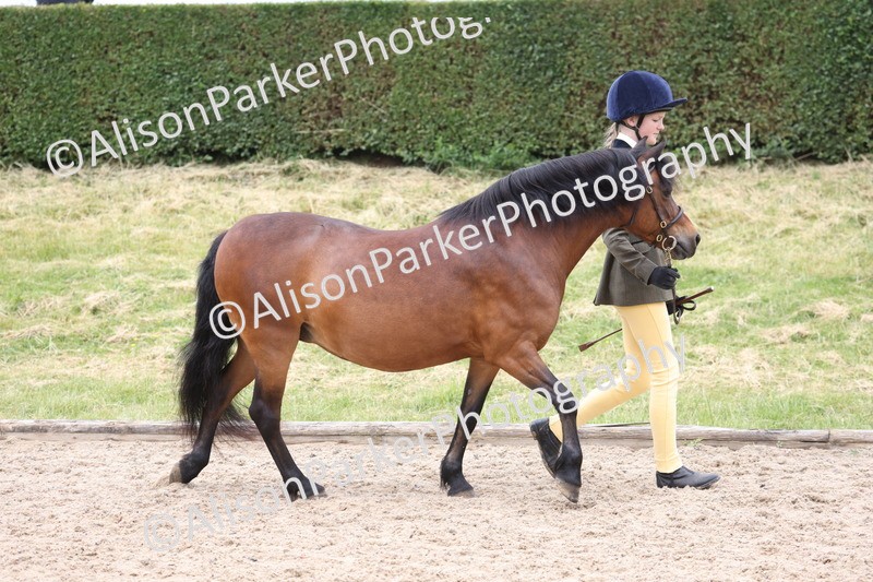 20250524-0612 - Class 7 - Veteran