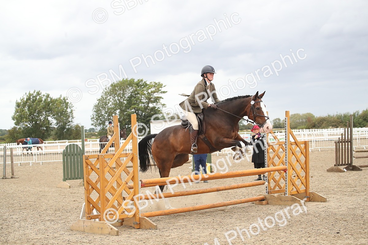 SBM_18383 - Class 509B - Working Veteran - 80cm (20+)