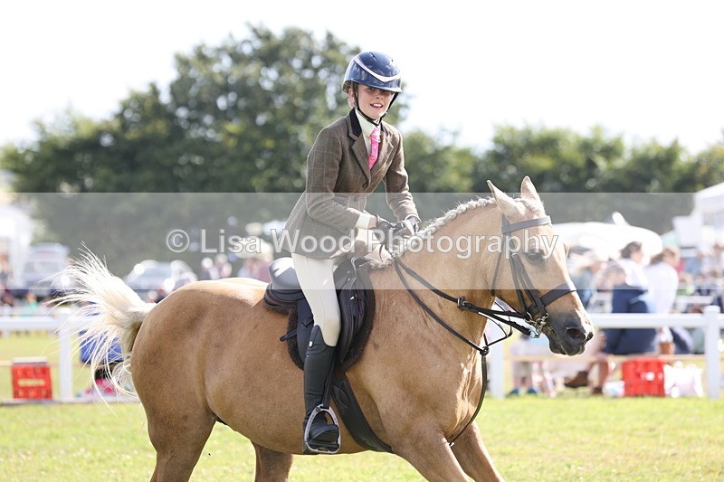 JPP_2706 - Class 20: Working Hunter 70cm