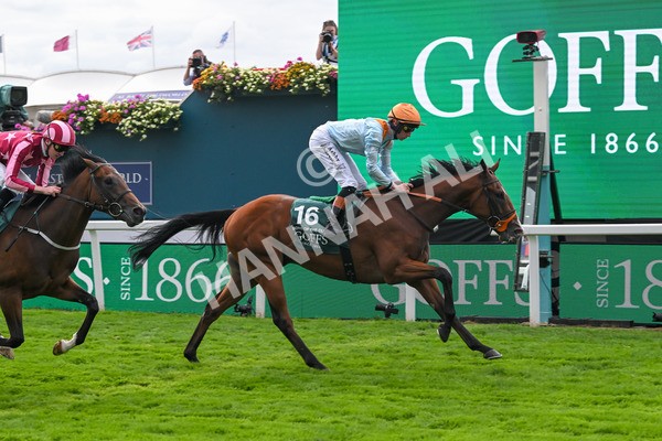 210825-Race 2-Song Of The Clyde-3996 - Race 2 2.25pm Harry's Half Million By Goffs