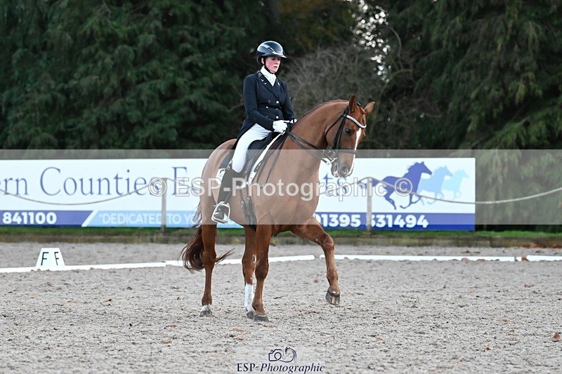 231110-164048-02733 - Cls 14 FEI Grand Prix