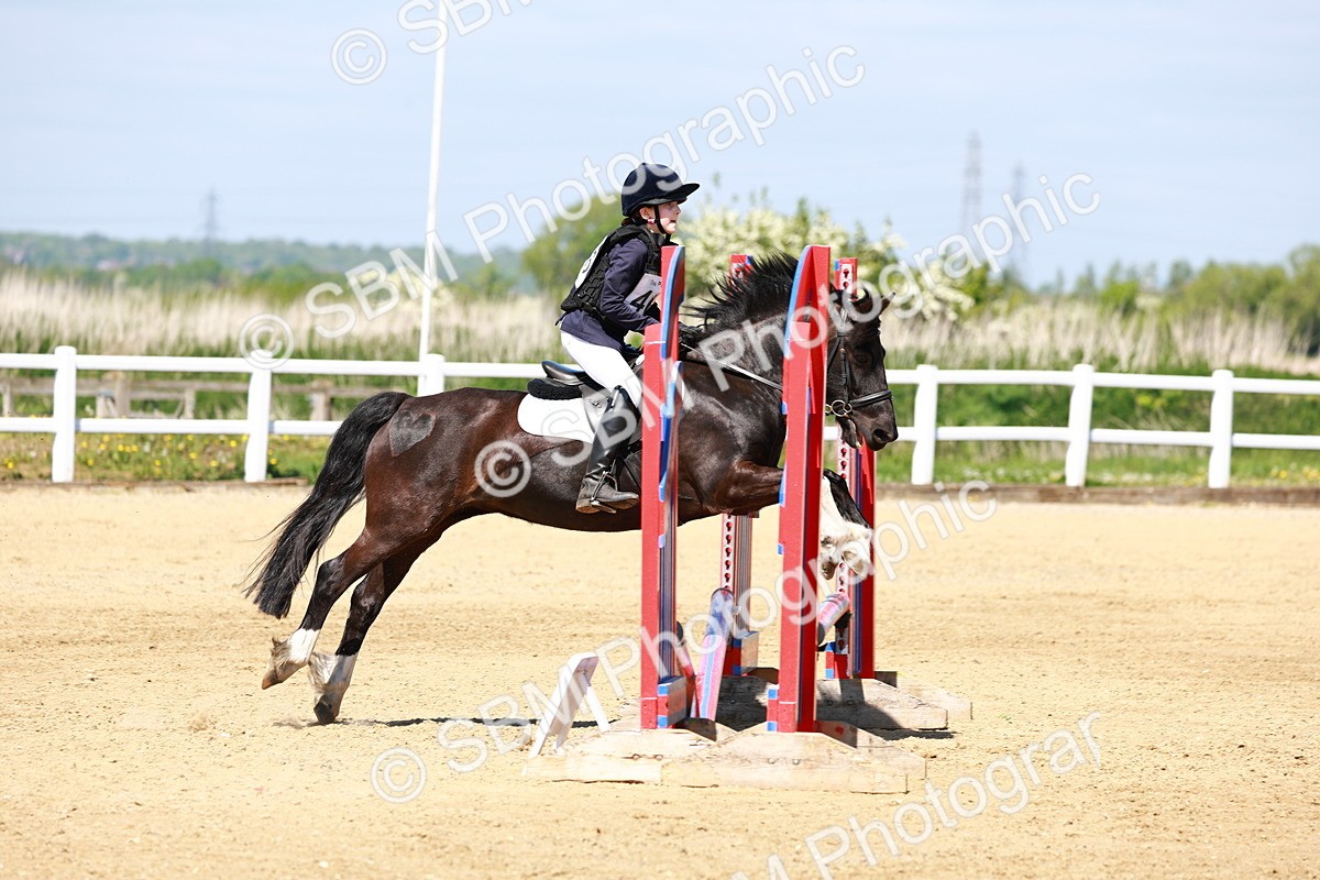 SBM_007460 - Class 3 - 60cm