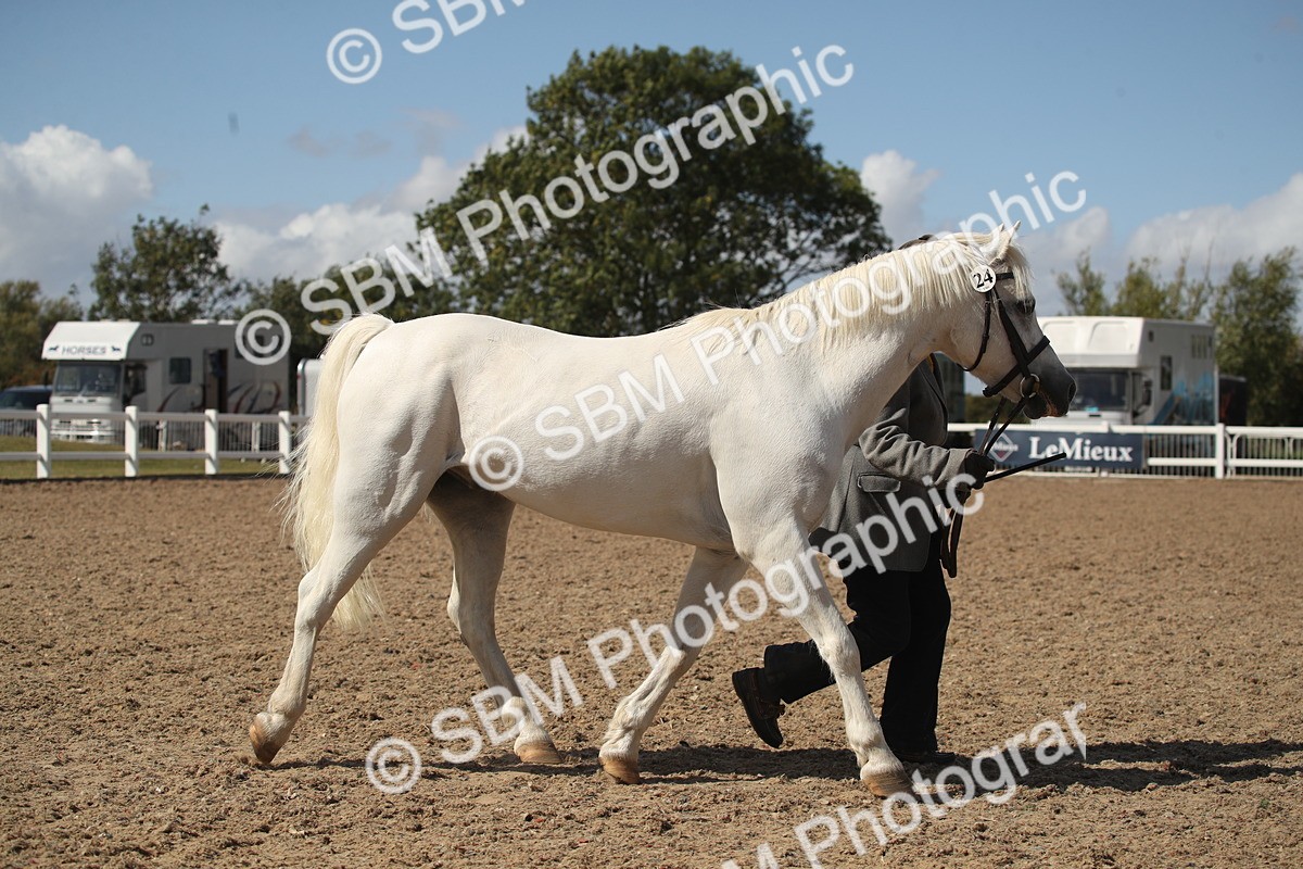 SBM_23534 - Class 605 - 2026 - Area - IH Veteran