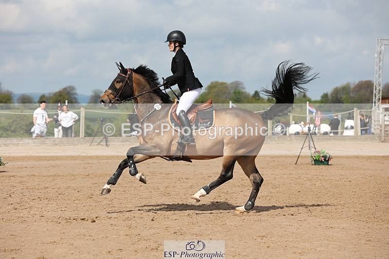 250427-111122-15847 - Cls 36 Young Horse 7yr old