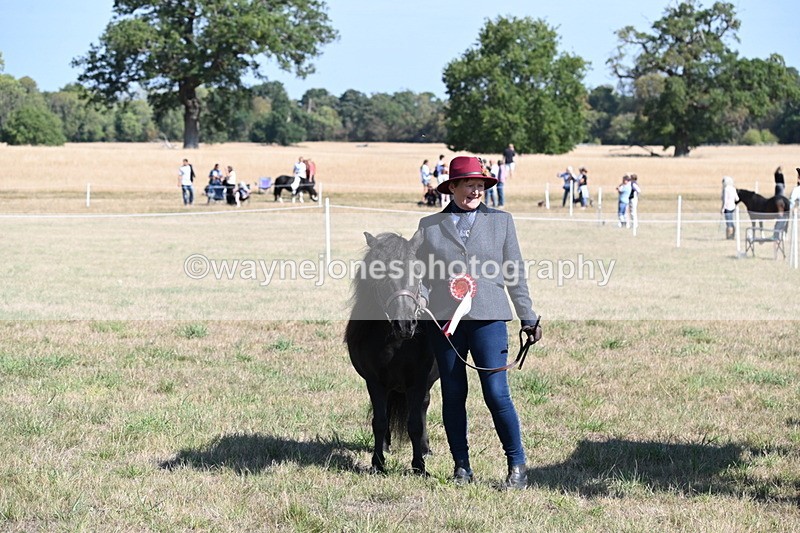 WJ6_4333 - Class 16 Condition & Turn Out