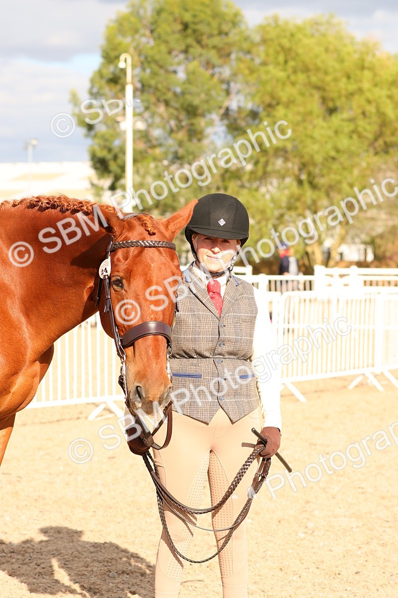SBM_18371 - Class 318 - IH Part Bred Horse Pony