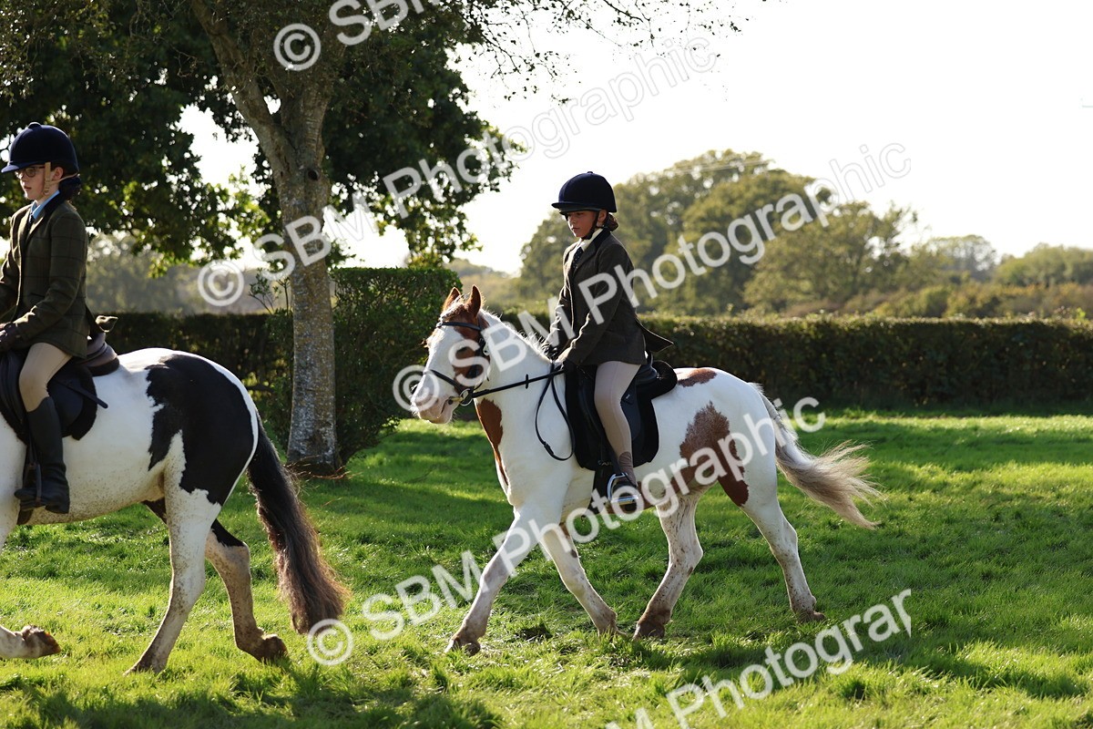 SBM_52436 - S13 - Pony Club Pony