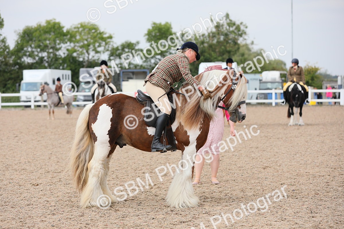 SBM_12766 - Class 307 Ridden Coloured Pony