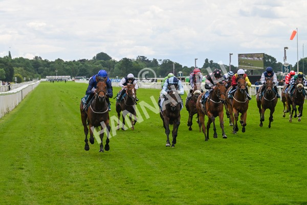 140624-Race 2-Inconspicuous-3963 - Race 2 2.25pm CGE Yorkshire Rous Selling Stakes